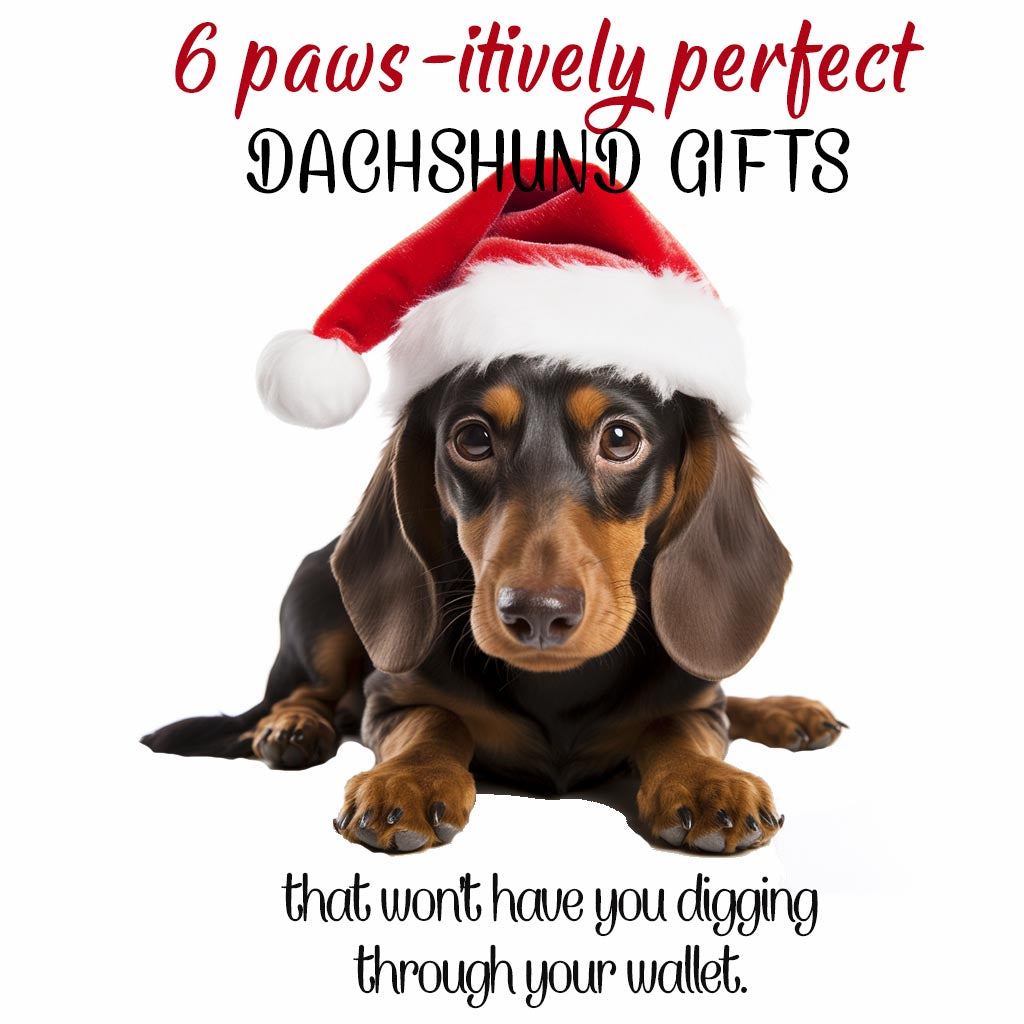 6 Dachshund Christmas Gifts That’ll Make You Say 'Bow-WOW!' - All Under $15!