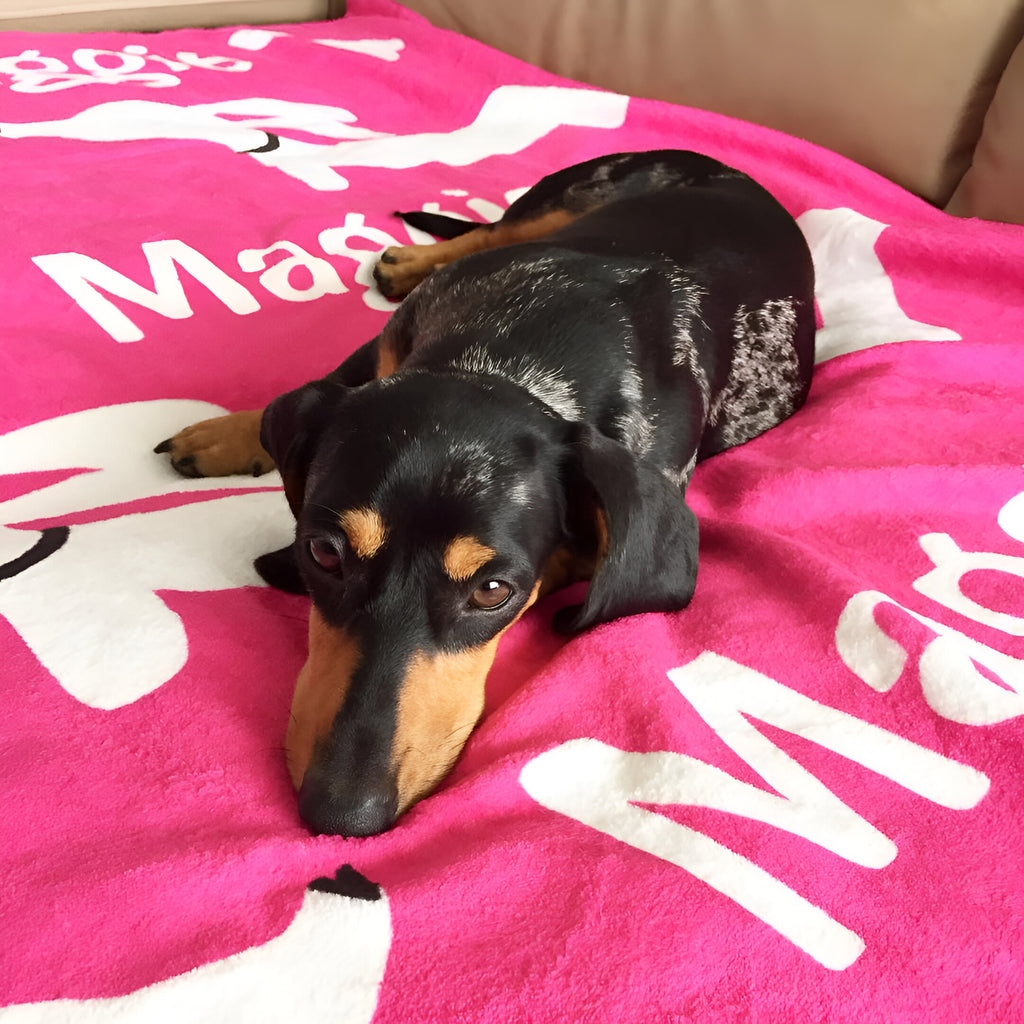 personalized dachshund blankets