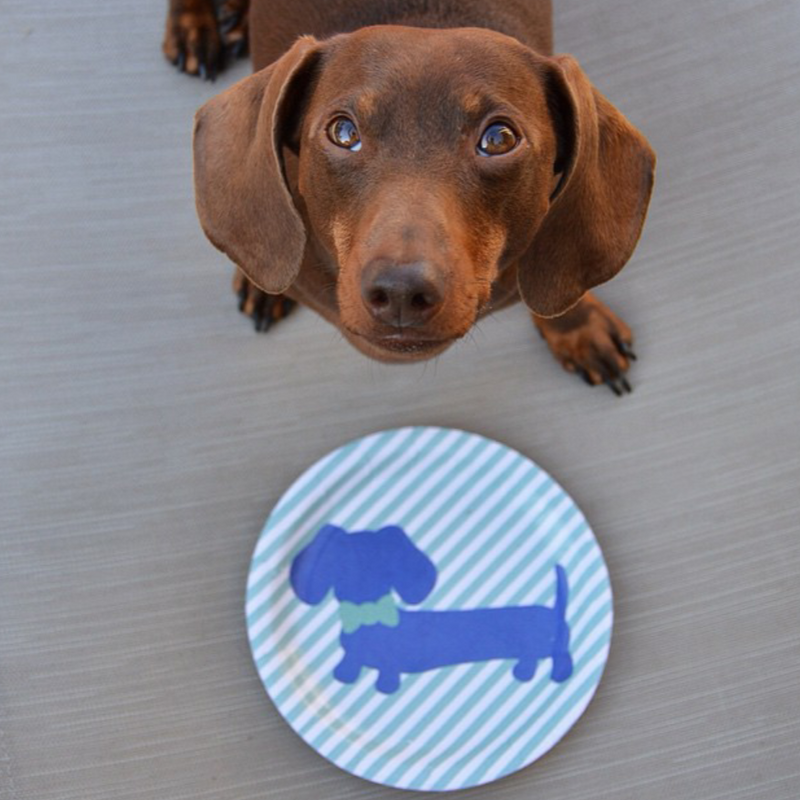 Dachshund party supplies best sale