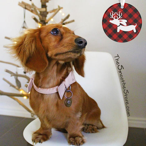 https://www.thesmoothestore.com/cdn/shop/products/Wiener_Dog_Christmas_Tree_Ornament_-_river_SM_large.jpg?v=1527558066