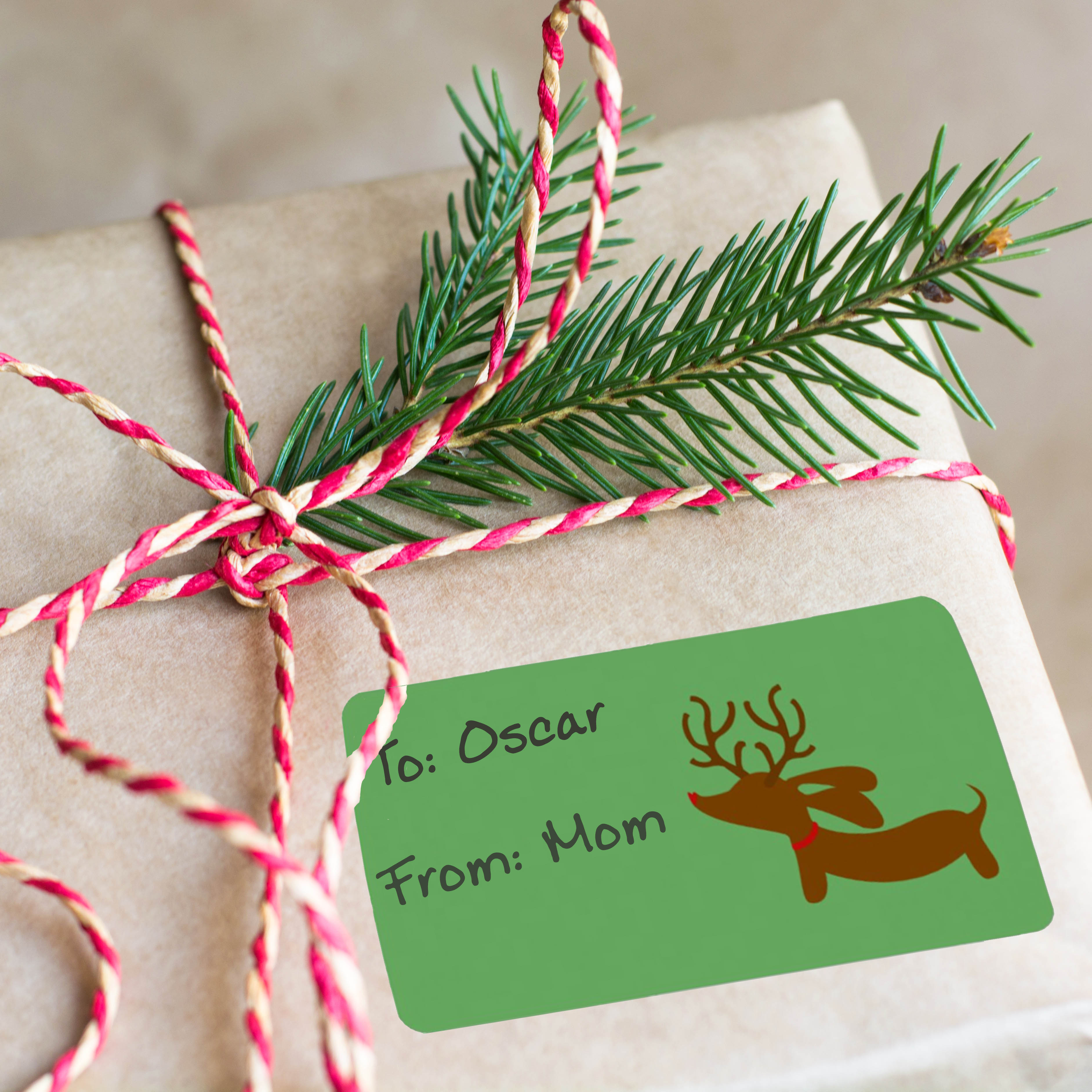 Cute Reindeer Gift Tags Self Stick Gift Tag Labels Christmas TO